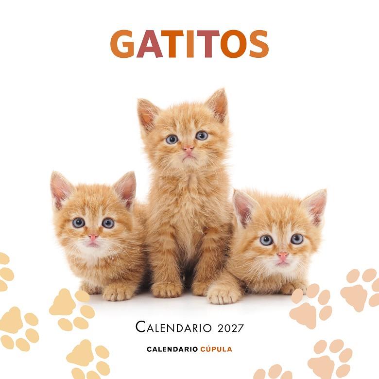 CALENDARIO GATITOS 2027 | 9788448049300