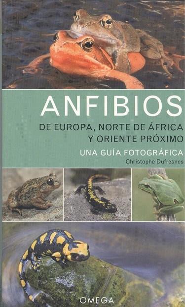 ANFIBIOS DE EUROPA, NORTE AFRICA Y ORIENTE PROXIMO | 9788428217330 | DUFRESNES, CHRISTOPHER