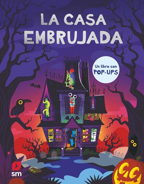 CASA EMBRUJADA, LA | 9788413924236 | STERN, JOEL