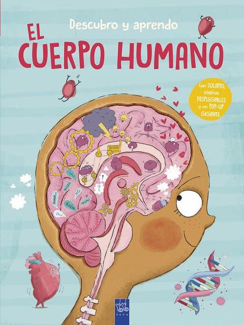 DESCUBRO Y APRENDO : EL CUERPO HUMANO | 9788408302087