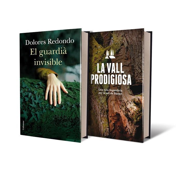 GUARDIA INVISIBLE + GUIA BAZTAN | 9788466419154 | REDONDO, DOLORES