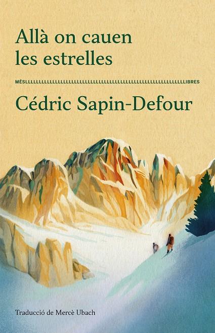 ALLÀ ON CAUEN LES ESTRELLES | 9788417353711 | SAPIN-DEFOUR, CEDRIC