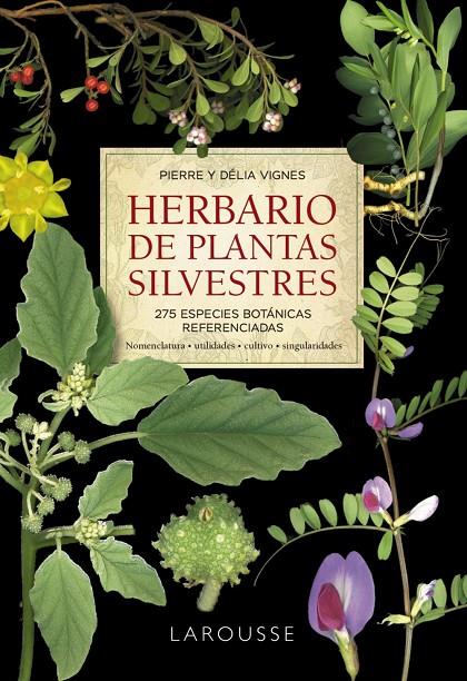 HERBARIO DE PLANTAS SILVESTRES | 9788418473999 | VIGNES, PIERRE/VIGNES, DÉLIA
