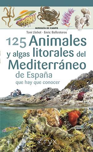 125 ANIMALES Y ALGAS LITORALES DEL MEDITERRÁNEO DE ESPAÑA QUE HAY QUE CONOCER | 9788418735400 | LLOBET, TONI ; BALLESTEROS, ENRIC
