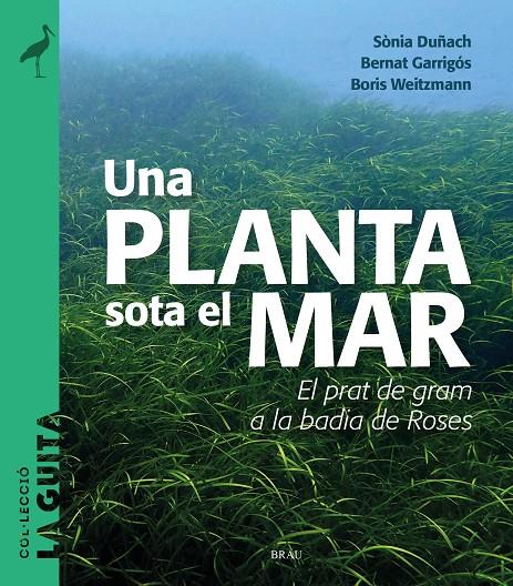 UNA PLANTA SOTA EL MAR | 9788418096747 | DUÑACH, SÒNIA ; GARRIGÓS, BERNAT ; WEITZMANN, BORIS