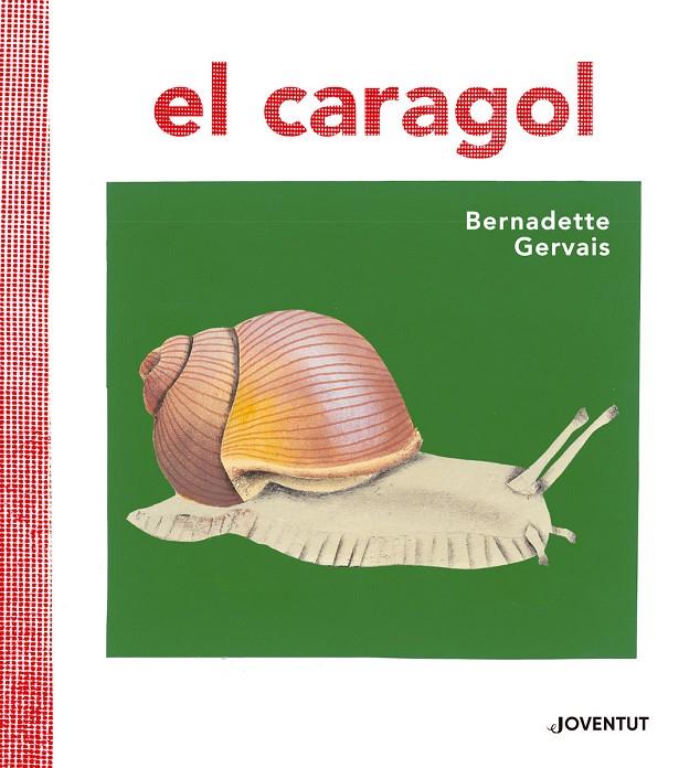 CARAGOL, EL | 9788426145680 | GERVAIS, BERNADETTE