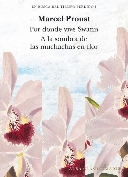 EN BUSCA DEL TIEMPO PERDIDO 1 : POR DONDE VIVE SWANN ; A LA SOMBRA DE LAS MUCHACHAS EN FLOR | 9788490659229 | PROUST, MARCEL