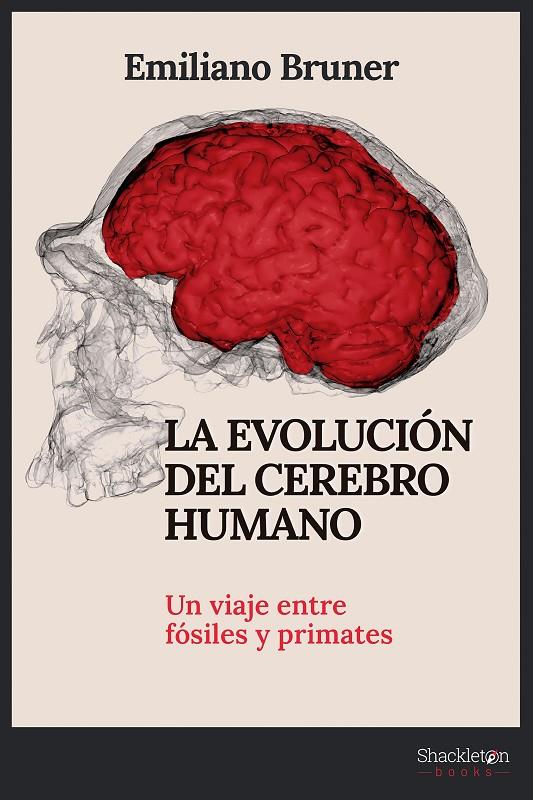 EVOLUCIÓN DEL CEREBRO HUMANO, LA | 9788413612249 | BRUNER, EMILIANO