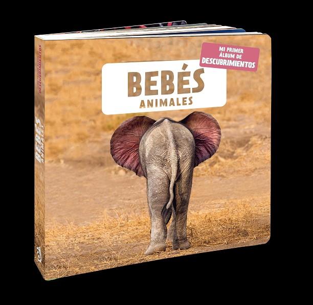 BEBÉS ANIMALES | 9788418762116