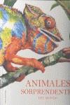 ANIMALES SORPRENDENTES DEL MUNDO | 9788426138705 | SCOTT, PETER DAVID