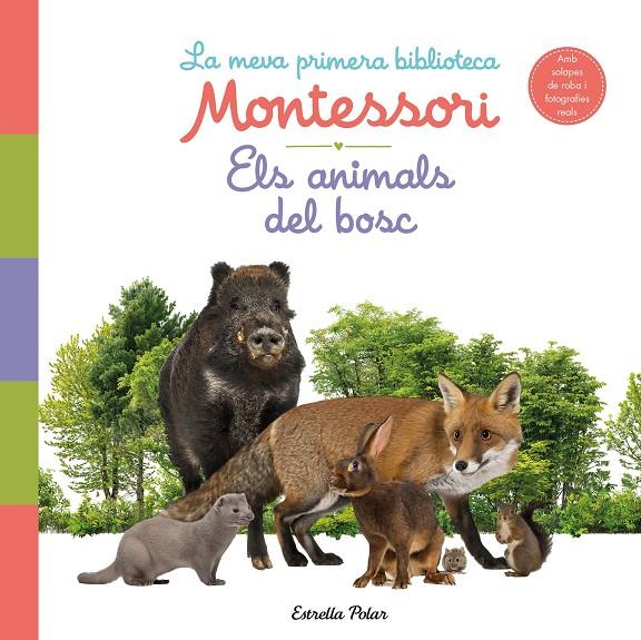 MEVA PRIMERA BIBLIOTECA MONTESSORI : ELS ANIMALS DEL BOSC | 9788413890159