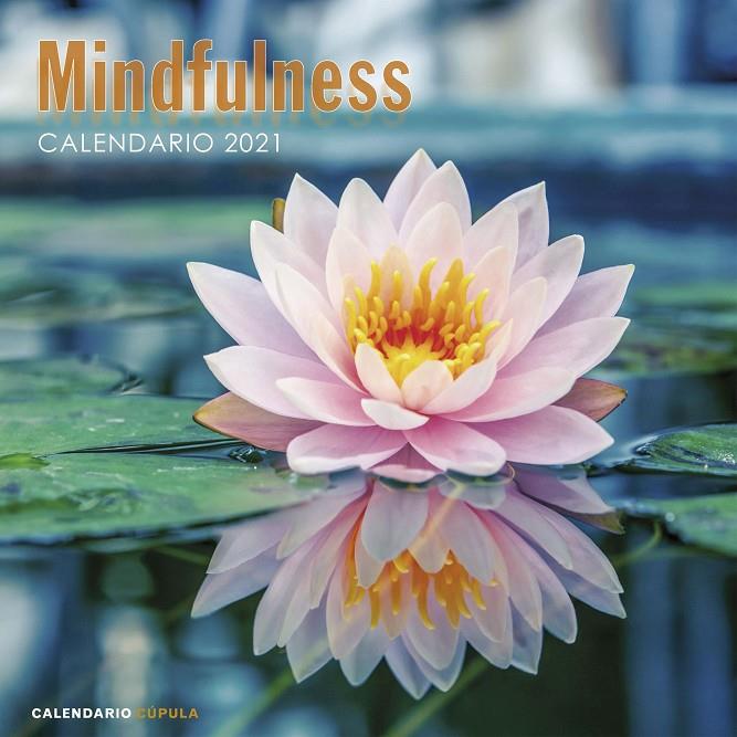 CALENDARI 2021 : MINDFULNESS | 9788448027735 | AA. VV.