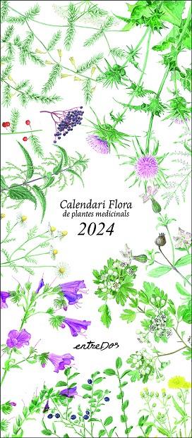 CALENDARI 2024 FLORA DE PLANTES MEDICINALS  | 9788418900624 | VILALDAMA, PERE ; VILALDAMA, PERE