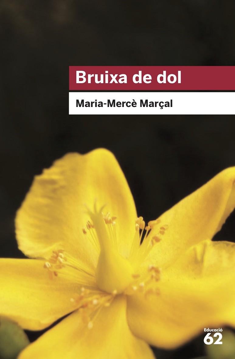 BRUIXA DE DOL | 9788415954736 | MARÇAL, MARIA MERCE