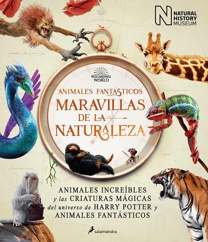 ANIMALES FANTÁSTICOS : MARAVILLAS DE LA NATURALEZA | 9788418637056