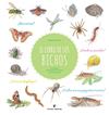 LIBRO DE LOS BICHOS, EL | 9788417800413 | TRODJMAN, NATHALIE ; TCHOUKRIEL, EMMANUELLE ; NORWOOD, JULIEN