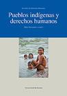 PUEBLOS INDIGENAS Y DERECHOS HUMANOS | 9788498300581 | BERRAONDO, MIKEL
