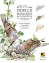ATLES DELS OCELLS NIDIFICANTS DE CATALUNYA | 9788413560939