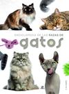 ENCICLOPEDIA DE LAS RAZAS DE GATOS | 9788466244589 | MARTÍN COMPS, CONSUELO