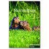 MURMELTIERE | 9783192195976 | THOMA, LEONHARD