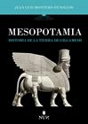MESOPOTAMIA | 9788410199316 | MONTERO FENOLLÓS, JUAN LUIS