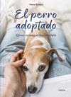 PERRO ADOPTADO, EL | 9788428217750 | IRENE KUNZE