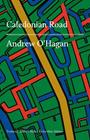 CALEDONIAN ROAD | 9788417353650 | O'HAGAN, ANDREW