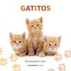 CALENDARIO GATITOS 2027 | 9788448049300