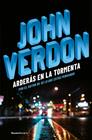 ARDERAS EN LA TORMENTA | 9788416700721 | VERDON, JOHN