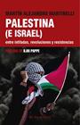 PALESTINA (E ISRAEL) ENTRE INTIFADAS, REVOLUCIONES Y RESISTENCIAS | 9788419778949 | ALEJANDRO MARTINELLI, MARTÍN/PAPPE, ILAN