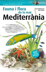 FAUNA I FLORA DE LA MAR MEDITERRÀNIA | 9788415885979 | BALLESTEROS SAGARRA, ENRIC