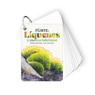 FÍJATE: LÍQUENES Y PLANTAS INFERIORES | 9788410407619 | SANJUAN LLORENS, ANNA/NOGUÉS, ALEX