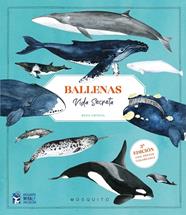 BALLENAS. VIDA SECRETA | 9788410417151 | ORTEGA, RENA ; ORTEGA, RENA