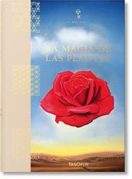 MAGIA DE LAS PLANTAS : LA BIBLIOTECA DE ESOTERISMO | 9783836585675 | HUNDLEY, JESSICA