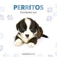 CALENDARIO PERRITOS 2022 | 9788448028701