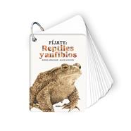 FÍJATE : REPTILES Y ANFIBIOS | 9788410407596 | SANJUAN LLORENS, ANNA ; NOGUÉS, ALEX