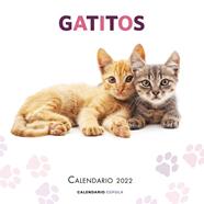 CALENDARIO GATITOS 2022 | 9788448028695