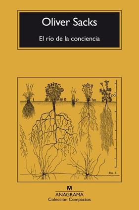 RÍO DE LA CONCIENCIA, EL | 9788433946867 | SACKS, OLIVER
