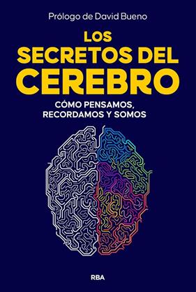 SECRETOS DEL CEREBRO, LOS | 9788410981249