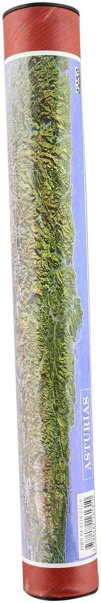 -ASTURIAS MAPA PANORAMICO | 9788482161310 | ANGULO, MIGUEL