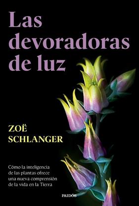 DEVORADORAS DE LUZ, LA | 9788449343742 | SCHLANGER, ZOË