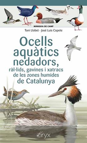 OCELLS AQUÀTICS NEDADORS, RÀL·LIDS, GAVINES I XATRACS DE LES ZONES HUMIDES DE CATALUNYA | 9788413564883 | COPETE, JOSÉ LUIS