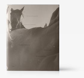 2016 | 9788417769642 | NARANJO MARTELL., MANUEL