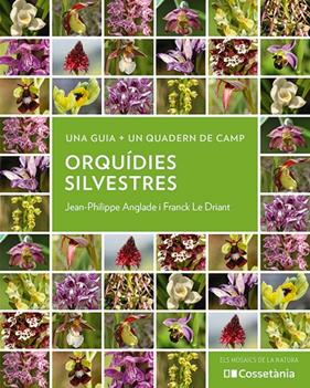 ORQUÍDIES SILVESTRES | 9788413564920 | ANGLADE, JEAN-PHILIPPE ; LE DRIANT, FRANCK