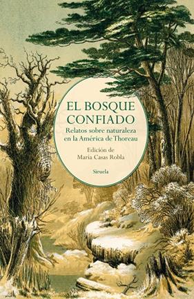 BOSQUE CONFIADO, EL | 9788419553171 | POE, EDGAR ALLAN/HAWTHORNE, NATHANIEL/THOREAU, HENRY DAVID/ALCOTT, LOUISA MAY/TWAIN, MARK/LONDON, JA