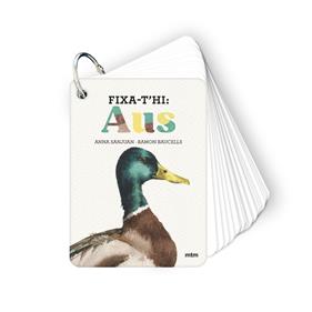FIXA-T'HI : AUS | 9788410407640 | SANJUAN LLORENS, ANNA ; BAUCELLS COLOMER, RAMON
