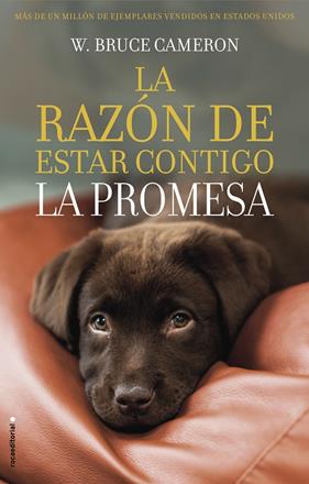 RAZON DE ESTAR CONTIGO, LA. LA PROMESA | 9788417167103 | CAMERON, BRUCE