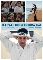 KARATE KID & COBRA KAI DAR CERA PULIR CERA | 9788418320583 | MILLAN, FRANCISCO JAVIER