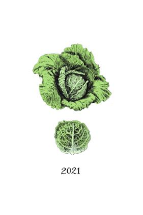 CALENDARI 2021 DE LES VERDURES | 9788412205640 | POMES LEIZ, JULIET