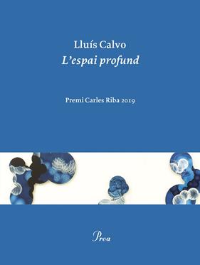 ESPAI PROFUND, L' | 9788475888248 | CALVO LLUIS